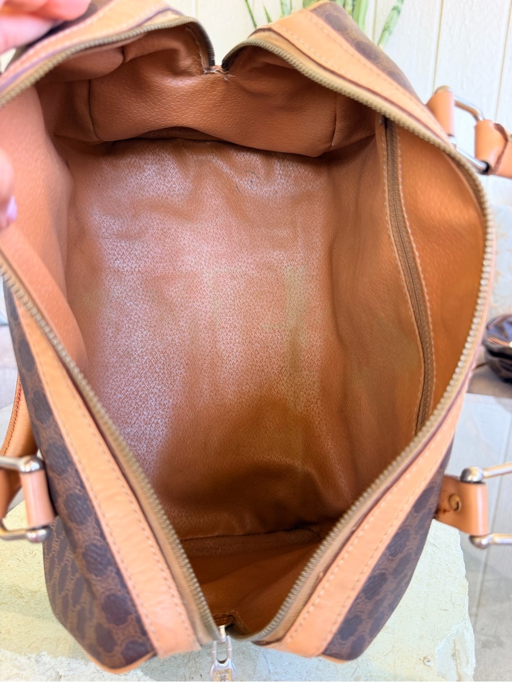 Celine Boston ๐๐๐ - Picture 8 of 8